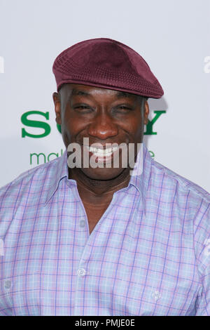 Michael Clarke Duncan à l'écran la première de GemsColumbia Photos' 'Le Frelon Vert'. Arrivants tenue au Grauman's Chinese Theatre à Hollywood, CA, le 10 janvier 2011. Photo par Joe Martinez / PictureLux Banque D'Images