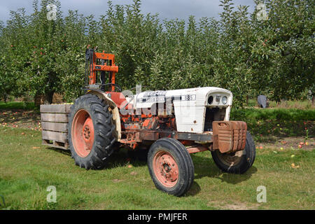 Tracteur David Brown 885 Banque D'Images