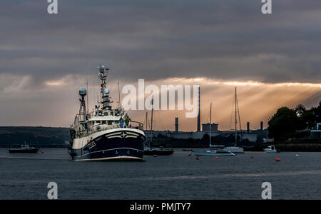 Crosshaven, Cork, Irlande. 14 juillet, 2017. Trawler Buddy M arrive retour à Crosshaven Co. Cork tôt le matin où elle va attraper son déchargement Banque D'Images