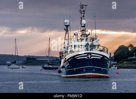 Crosshaven, Cork, Irlande. 14 juillet, 2017. Trawler Buddy M arrive retour à Crosshaven Co. Cork tôt le matin où elle va attraper son déchargement Banque D'Images