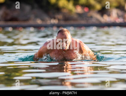 Homme natation style papillon Banque D'Images