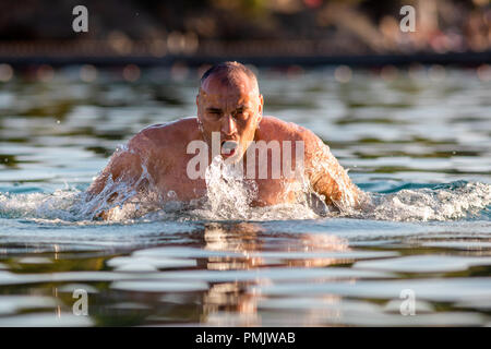 Homme natation style papillon Banque D'Images