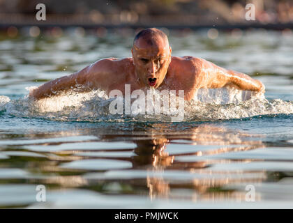 Homme natation style papillon Banque D'Images