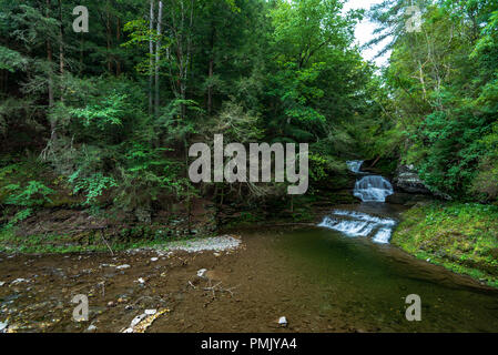 Robert H. Treman State Park : Enfield Falls Banque D'Images