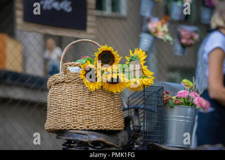 Bouquet de tournesols lumineux en frais de panier en osier sur le siège d'une vieille moto, l'été, l'automne couleurs arrière-plan. La romance, l'amour, carte de voeux concept Banque D'Images