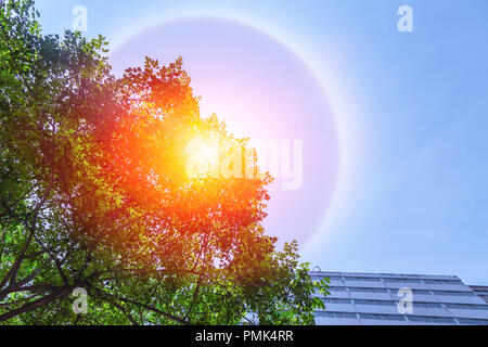 Beau Soleil fantastique phénomène halo dans la ville Banque D'Images