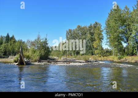 Bertha Creek en Alaska Banque D'Images