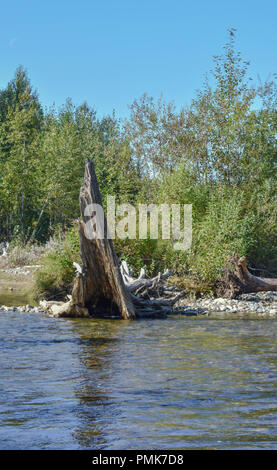 Bertha Creek en Alaska Banque D'Images