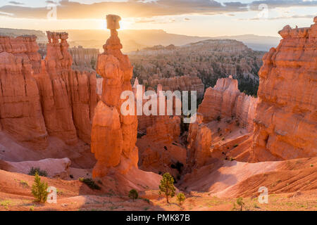 Thor's Hammer brillants dans la lumière du matin, le Parc National de Bryce Canyon Banque D'Images