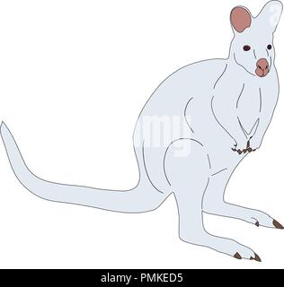 Illustration d'un Handdrawn numériquement kangaroo Illustration de Vecteur