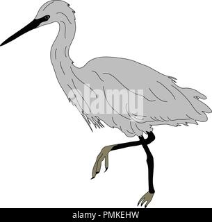 Handdrawn numériquement Illustration d'un oiseau de mer Illustration de Vecteur