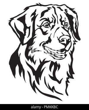 Portrait de chien décoratif Nova Scotia Duck Tolling Retriever, vector illustration en couleur noir isolé sur fond blanc Illustration de Vecteur