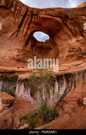 Bowtie Arch près de Moab, Utah, USA Banque D'Images