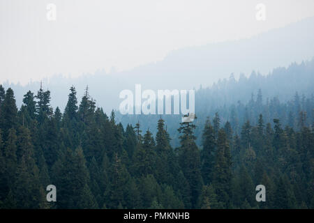 Montagnes couvertes de fumée de l'incendie dans l'Terwilliger Forêt nationale de Willamette. Banque D'Images