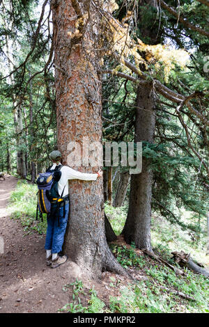 Beaucoup de gens qui trouvent tree hugging soothing ont été marqués 'eco-freaks' ou 'les écologistes". Ils cherchent la liaison avec la nature Banque D'Images