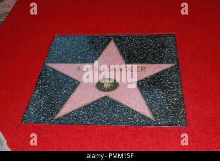 À la Chambre de commerce de Hollywood cérémonie en l'honneur de Adam Sandler avec une étoile sur le Hollywood Walk of Fame à Hollywood, CA, le 1 février 2011 Photo par Joe Martinez / PictureLux Banque D'Images