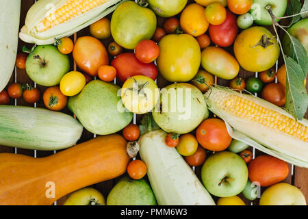 Les tomates fraîches, le maïs en épi, squash et poires Banque D'Images