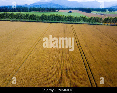 Phography aérienne de Hokkaido, Japon Banque D'Images