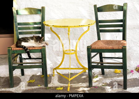 La Grèce, la maison de vacances île de Ios dans les Cyclades. Deux chaises de chaque côté d'une table jaune. Un chat dort. Banque D'Images