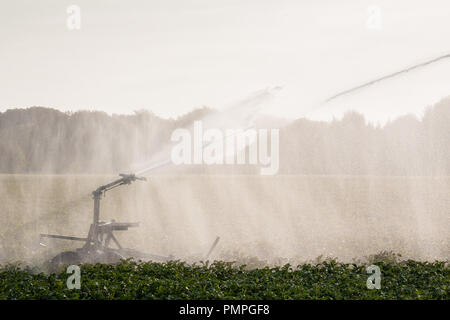 L'irrigation et l'arrosage des terres agricoles avec l'équipement sprinkleur Banque D'Images