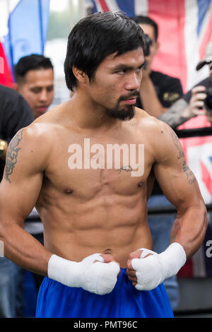 Manny Pacquiao assiste à sa séance d'entraînement à des médias de Sport Boxe carte sauvage le 28 novembre 2012 à Los Angeles, Californie. L'entraînement est en préparation de la prochaine Pacquiao lutte contre Juan Manuel Marquez des inamita "le 8 décembre 2012 à la MGM Grand Garden Arena de Las Vegas. (Photo par John / Salangsang PictureLux / RPAC) Banque D'Images
