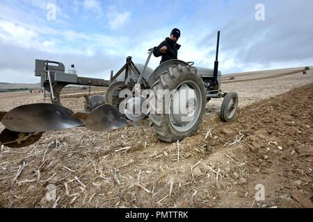 Neville goudronnage, East Sussex, UK. 19 septembre 2018. Laughton traditionnelles de labour et de district tenue à Neville goudronnage dans le parc national des South Downs. ©Peter Cripps/Alamy Live News Banque D'Images