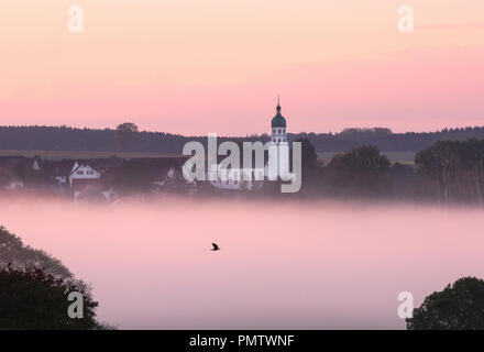 19 septembre 2018, Bade-Wurtemberg, Seekirch : peu avant le lever du soleil, brouillard au sol s'est formé en dessous de l'église baroque 'Mariä Himmelfahrt' à Federsee. Photo : Thomas/Warnack dpa Banque D'Images