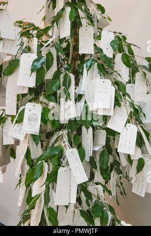 Musée des Dock Liverpool Channing Liverpool Arbre des désirs pour Liverpool Yoko Ono 1996 à 2018 souhaits écrits sur de étiquettes Banque D'Images