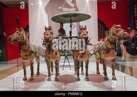 Liverpool William Brown Street World Museum Le Premier Empereur de Chine et les guerriers de terre cuite du char quatre chevaux Banque D'Images