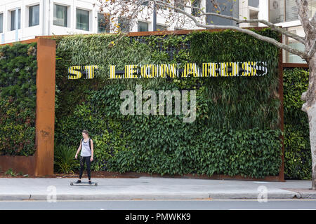 Une grande muraille verte à côté de l'autoroute du Pacifique dans le nord de Sydney. Sa structure à double paroi est remplis de près de 6000 plantes qui véhicule filtre exha Banque D'Images