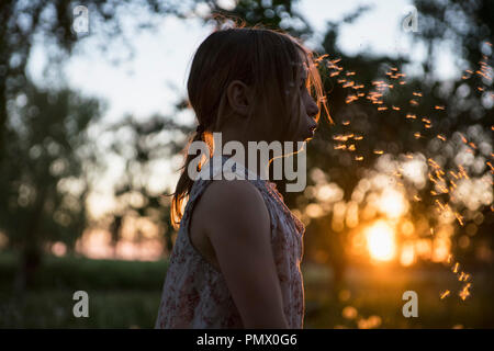 Girl blowing dandelion seeds Banque D'Images