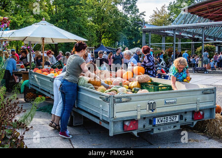 Berlin, Neukölln, Britzer Garten festival de la citrouille, wc séparés avec grande variété de courges et citrouilles Banque D'Images