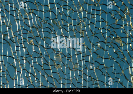 Modèle de glace ou de verre craquelé. Fissures de surface brillante, grunge. Les couleurs bleu et blanc. Texture décorative ou d'arrière-plan Banque D'Images