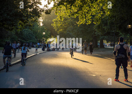 Londres, Angleterre, Royaume-Uni - 23 août 2016 : les touristes ride 'Boris' Vélo location de vélos de la ville de Hyde Park au coucher du soleil. Banque D'Images