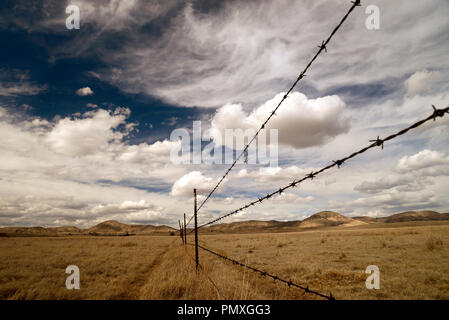 Une clôture dans le parc s'étend le long d'un chemin de terre qui relie Parker Canyon Lake et Lochiel, Arizona, USA. Banque D'Images