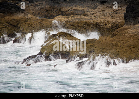 Les vagues s'écraser sur les falaises de Cornwall l'Église Cove Gunwalloe Banque D'Images