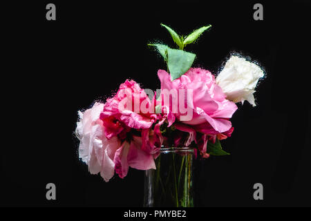 Vue rapprochée de belle rose et blanc humide eustoma fleurs dans vase transparent sur noir Banque D'Images