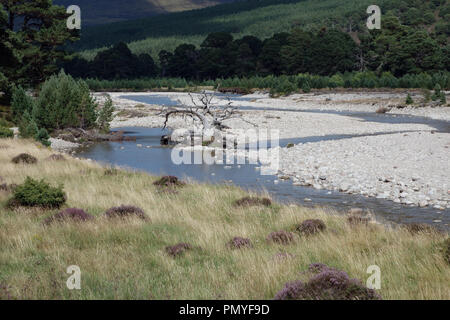 La rivière Feshie en route vers la montagne écossaise Corbetts Carn Dearg Mor & Leathad Taobhain dans Glen Feshie un, Parc National de Cairngorms. L'Écosse, Royaume-Uni Banque D'Images