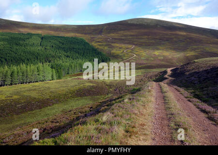 La voie de la montagne écossaise Corbett Carn Dearg Mor Leathad Taobhain de un à Glen Feshie, Parc National de Cairngorms, Highlands écossais Banque D'Images