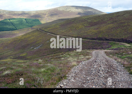 La voie de la montagne écossaise Corbett Carn Dearg Mor Leathad Taobhain de un à Glen Feshie, Parc National de Cairngorms, Highlands écossais Banque D'Images