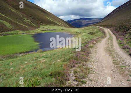 La piste en Slolhd Mor à côté de Lochan un t-Sluic sur la Route de la montagne écossaise Corbetts Carn Dearg Mor & Leathad Taobhain Feshie Glen, un. Banque D'Images