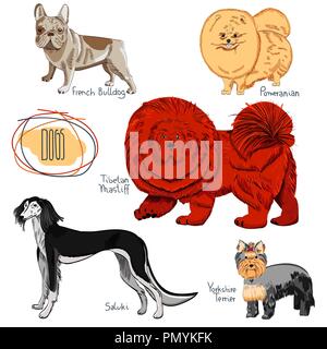 Collection de chien sur fond blanc. Jeu de pure race dessinés à la main, canines. Illustration de Vecteur