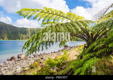 Rive du lac fogo Sao Miguel azoures cratère volcanique Banque D'Images