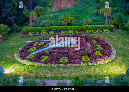 VINA DEL MAR, CHILI - 15 septembre, 2018 : vue extérieure de l'horloge de fleurs à Vina del Mar, est l'un des plus populat destinations touristiques au Chili Banque D'Images