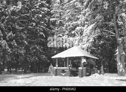 Gazebo en bois monochrome en forêt en hiver journée ensoleillée Banque D'Images