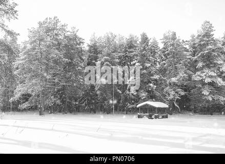 Gazebo en bois monochrome en forêt en hiver journée ensoleillée Banque D'Images