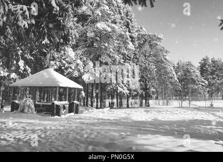 Gazebo en bois monochrome en forêt en hiver journée ensoleillée Banque D'Images