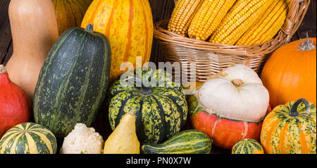 Motif de l'action de l'automne avec un panier plein d'épis de maïs et les différentes citrouilles coloré sur un fond de bois rustique Banque D'Images