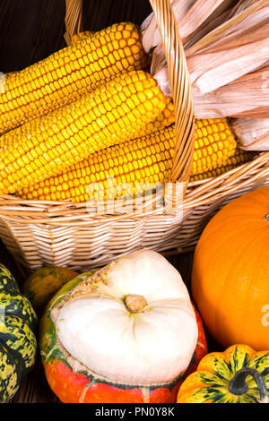 Motif de l'action de l'automne avec un panier plein d'épis de maïs et les différentes citrouilles coloré sur un fond de bois rustique Banque D'Images