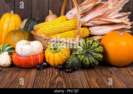 Motif de l'action de l'automne avec un panier plein d'épis de maïs et les différentes citrouilles coloré et châtaignes sur un vieux fond de bois rustique avec cop Banque D'Images